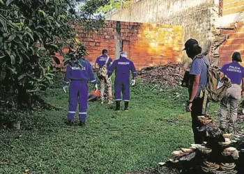 Corpo de mulher em decomposição é encontrado no bairro Nova Olinda, em Castanhal